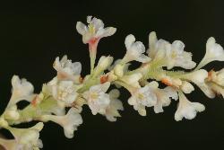 Image: Trevor James © Trevor James 